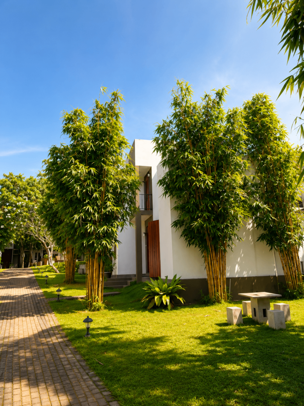 Garden View Room with bamboo-lined walkway and landscaped grounds