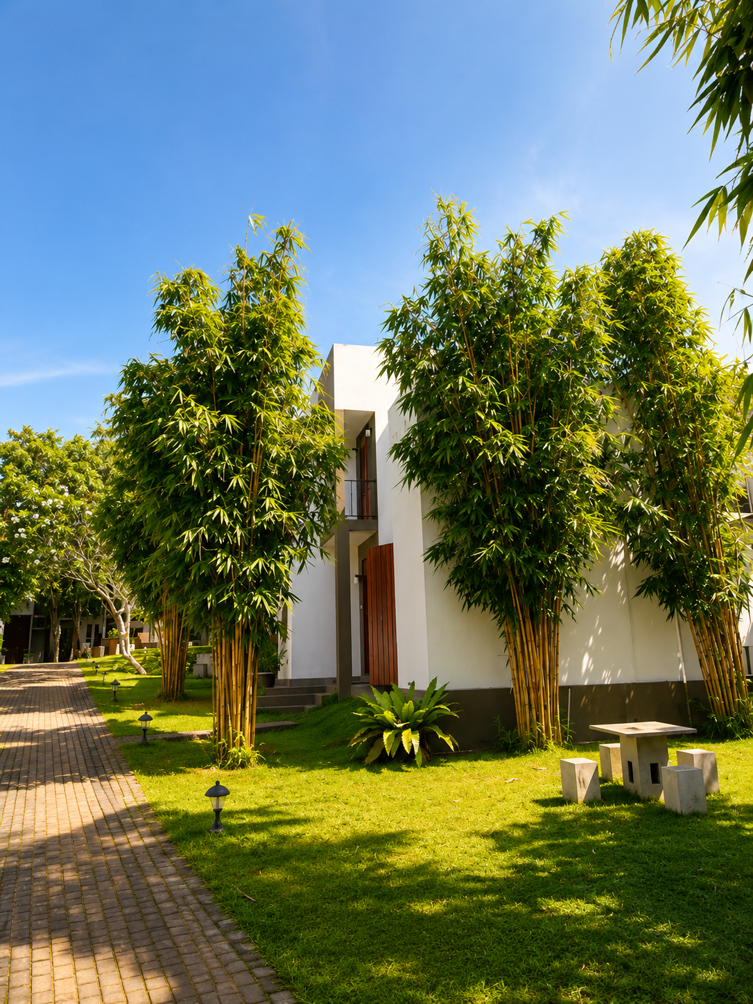 Backyard Room Standard surrounded by lawn, bamboo, and a private garden path